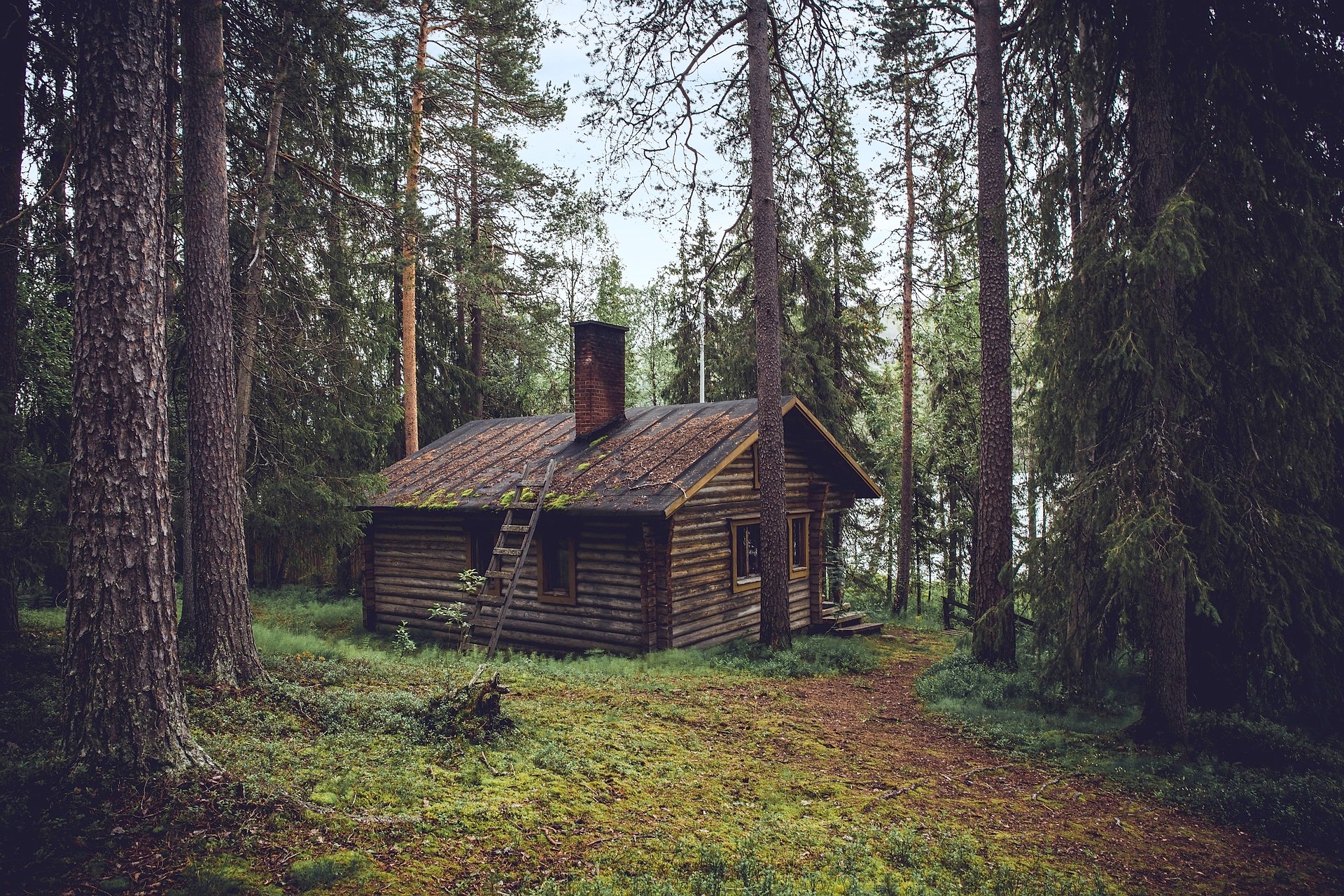 Hello Nature - Hütte im Wald