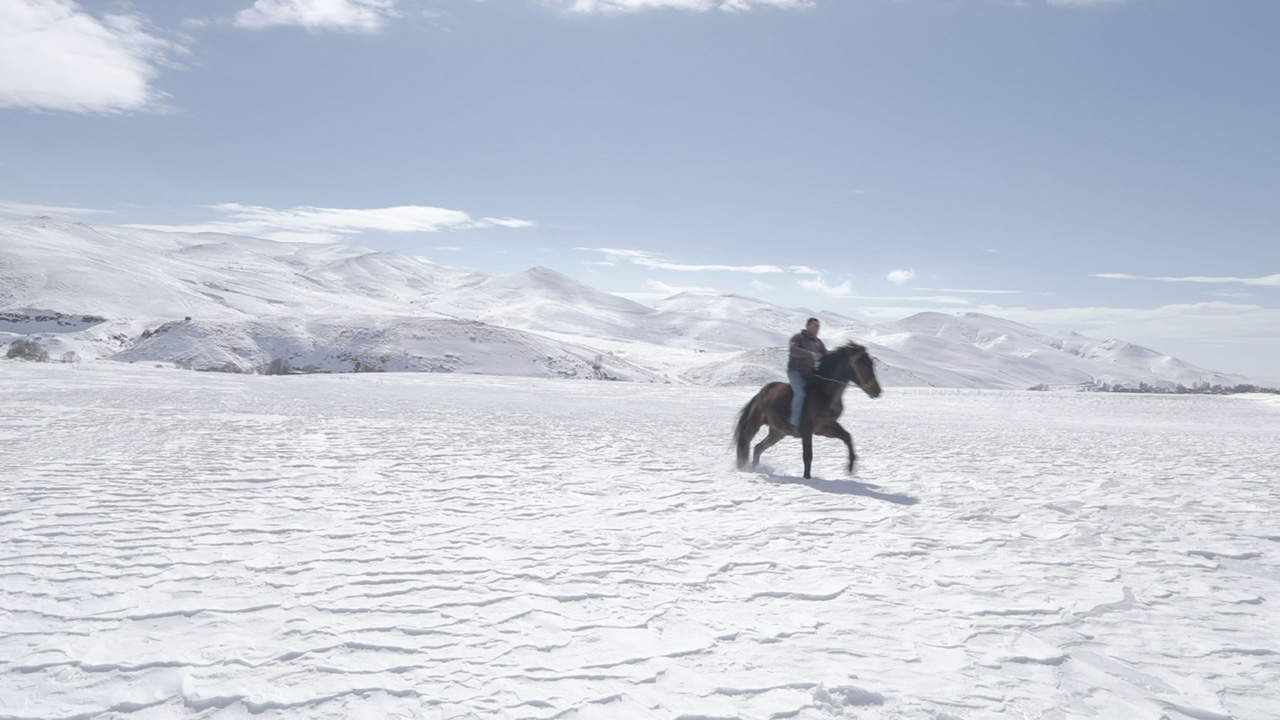 Filmstil 5 Dreamers and a Horse