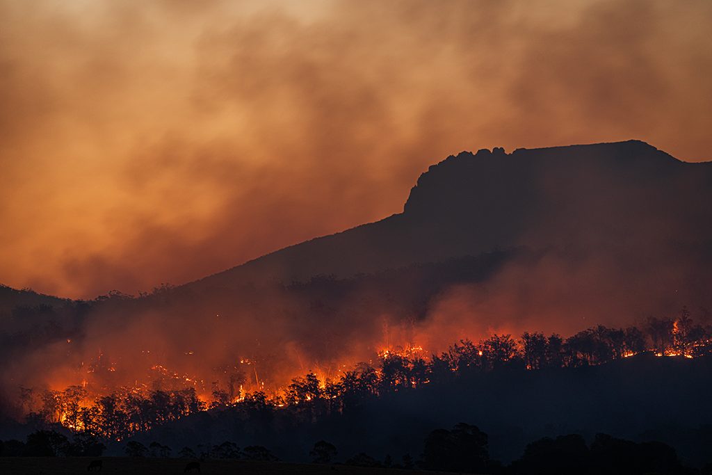 Waldbrand