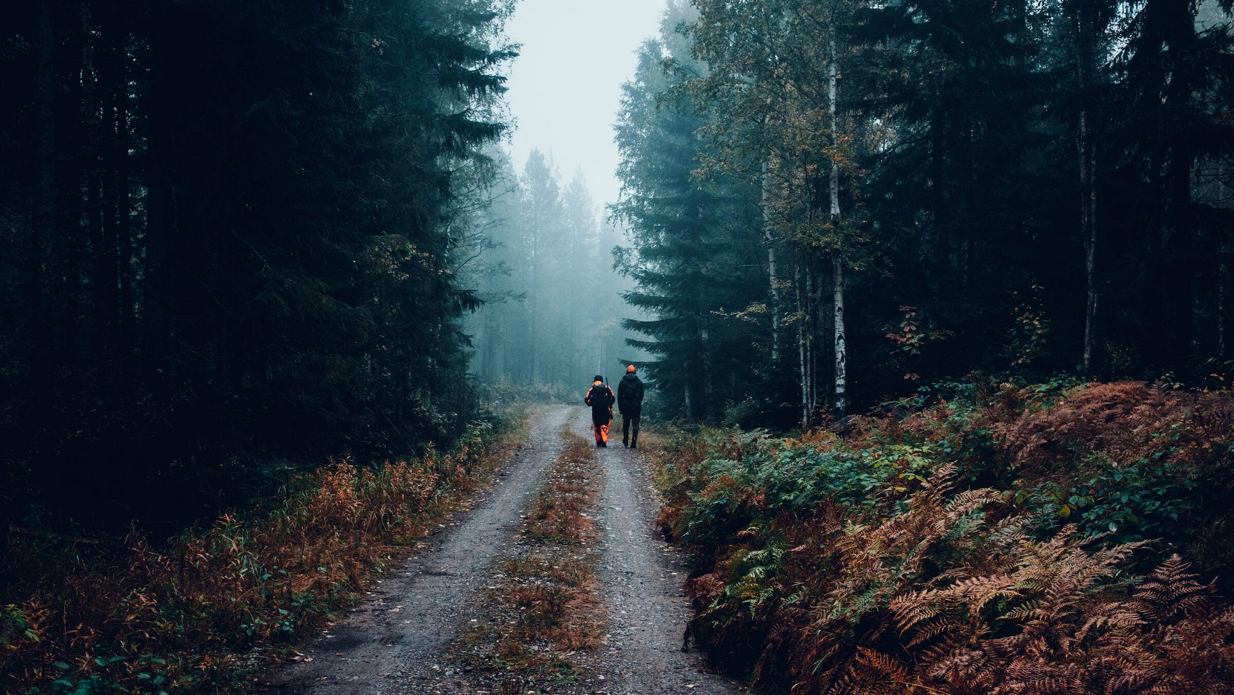 Wilde Jagd im Wald