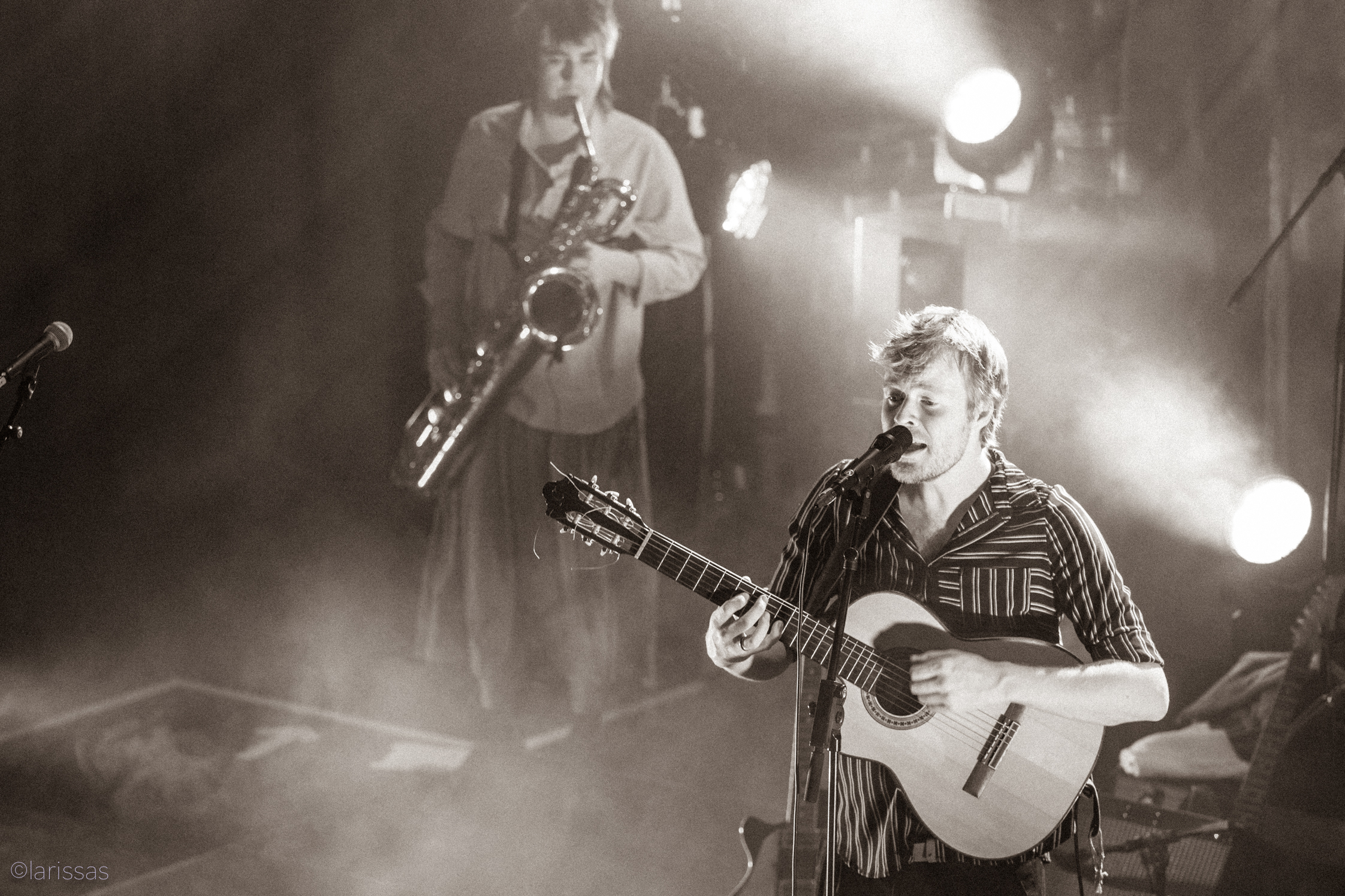 Buntspecht im Posthof Linz